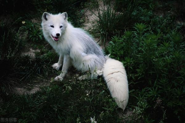 12星座最可愛的一面,讓人忍不住多看一眼 12星座最可愛的一面,讓人忍不住多看一眼