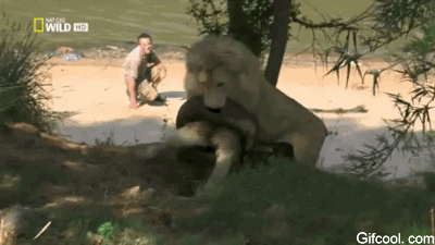 以槍御槍，原諒我被他裝到了。估計歹徒已經報警處理