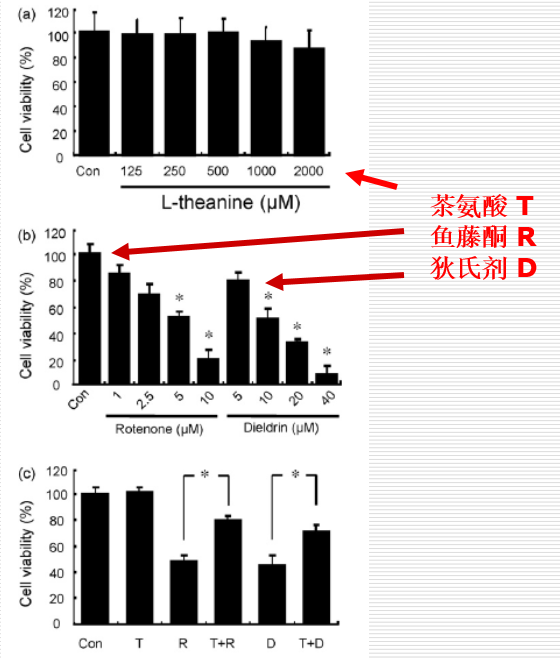 茶葉中的茶氨酸是什麼，它的保健功效：抗血壓、抗腫瘤、緩解抑鬱症、增強記憶力
