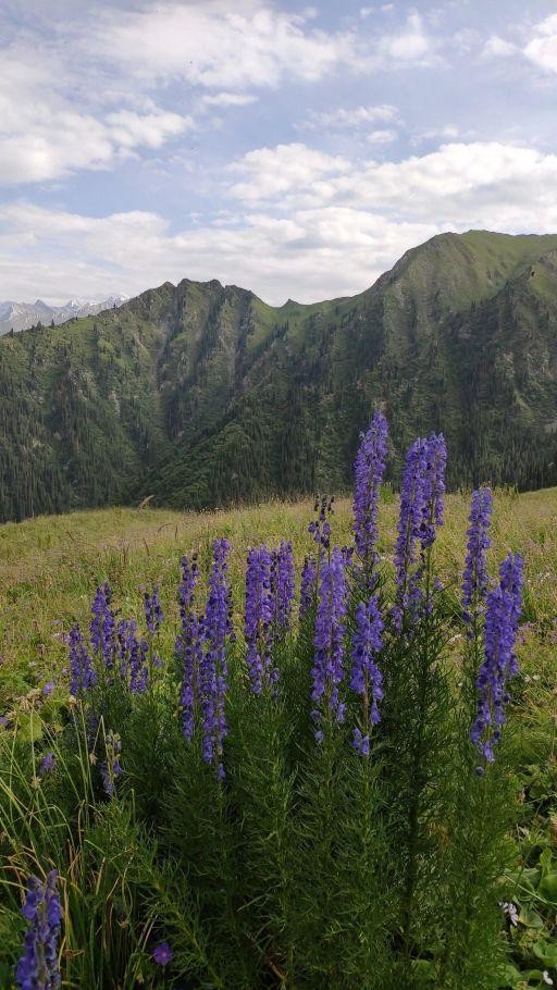 新疆徒步穿越烏蘇古道第二天翻越包紮敦達板