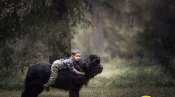 最適合有小孩家庭養的六種狗，它們幾乎“無攻擊性”