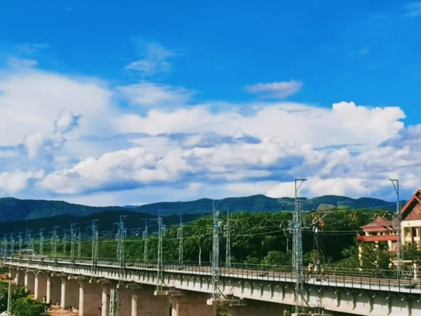 西雙版納該怎麼辦