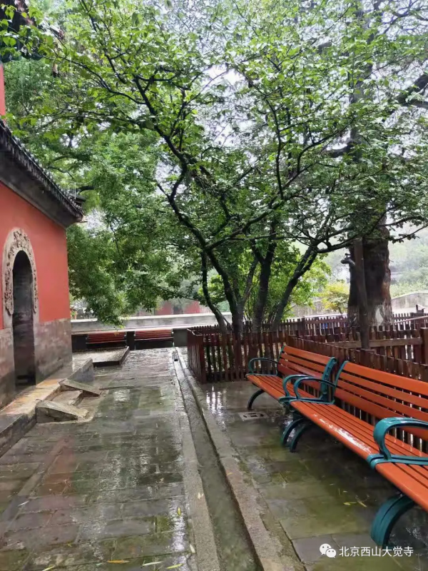 大覺寺清水院，幽都之勝概