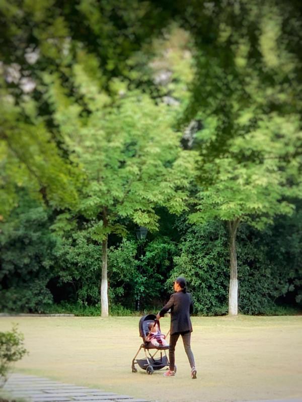 七絕·湯山金烏溫泉公園題名考（外5首）