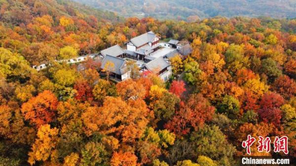 南京棲霞山層林盡染如詩如畫 南京棲霞山層林盡染如詩如畫