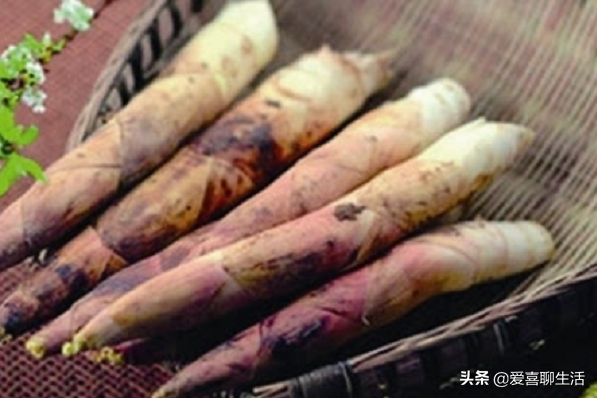入春後“少食2味，多吃6甘”，應季而食營養足，平安度過冬春交替
