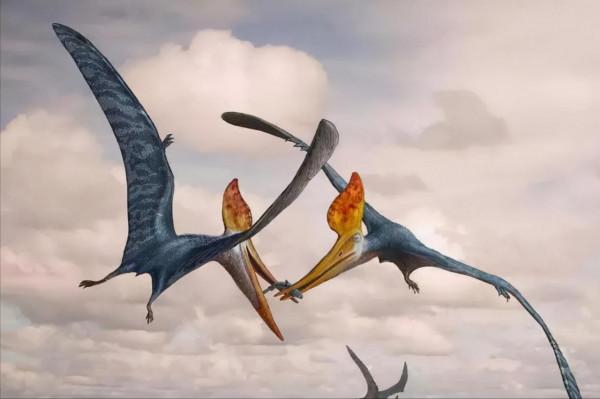 十大遠古巨獸排行榜,大象如點心鯊魚像幼崽,有一種至今還存在? 十大遠古巨獸排行榜,大象如點心鯊魚像幼崽,有一種至今還存在?