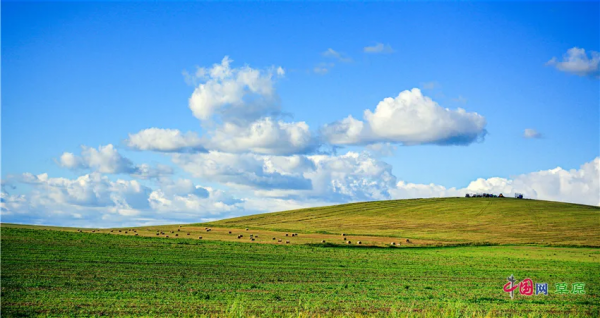 叮!請查收額侖草原秋日畫卷 叮!請查收額侖草原秋日畫卷
