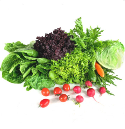 一個月瘦十斤我的健身減脂飲食，乾貨分享