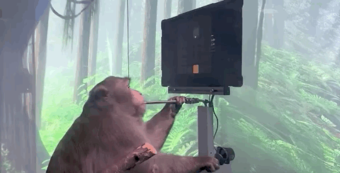 假裝生活在2050年，蘋果釋出了iPhone 43