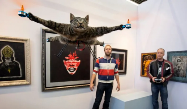 貓咪去世後被主人做成無人機，貓：沒想到死後還有一劫...