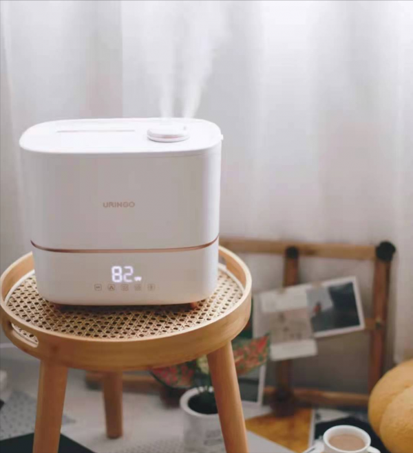 冬天不用空調,普通家庭用的溫暖小家電,讓冬天不再寒冷還舒適 冬天不用空調,普通家庭用的溫暖小家電,讓冬天不再寒冷還舒適