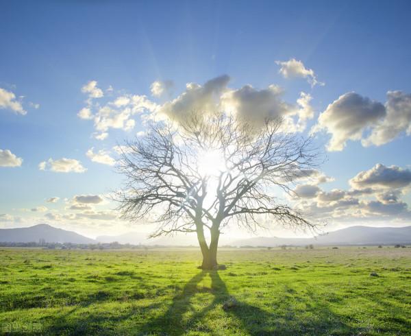 十分溫柔的生活句子,撫慰疲憊的心靈 十分溫柔的生活句子,撫慰疲憊的心靈