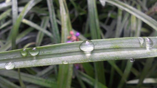 心理學:不要為了照顧老人而拖垮自己,這樣不值得 心理學:不要為了照顧老人而拖垮自己,這樣不值得