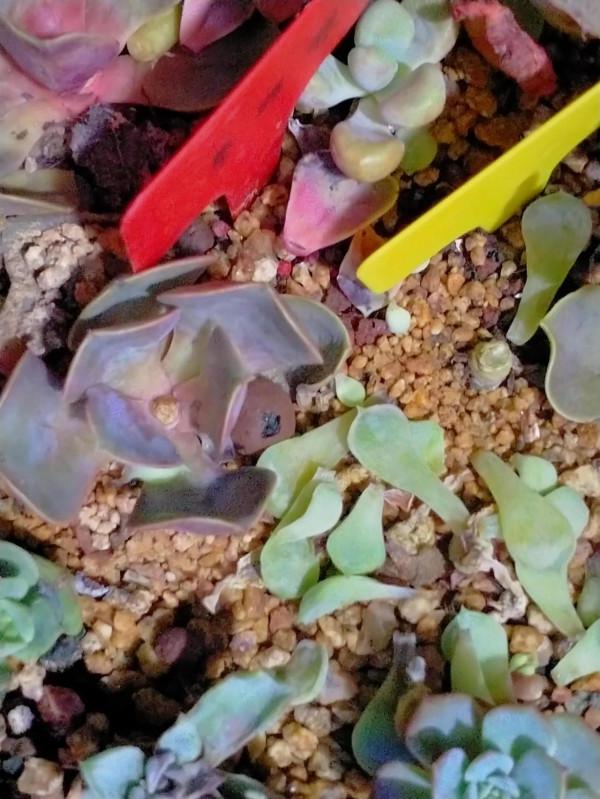 今年天氣真夠嗆