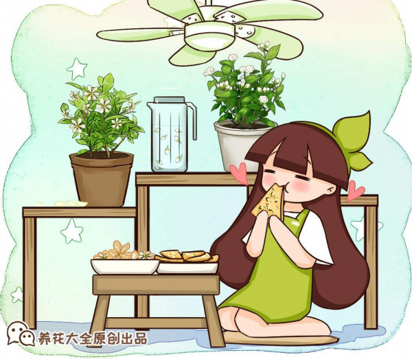 五仁餡的月餅太難吃,不如4種鮮花餡,同意的舉手 五仁餡的月餅太難吃,不如4種鮮花餡,同意的舉手