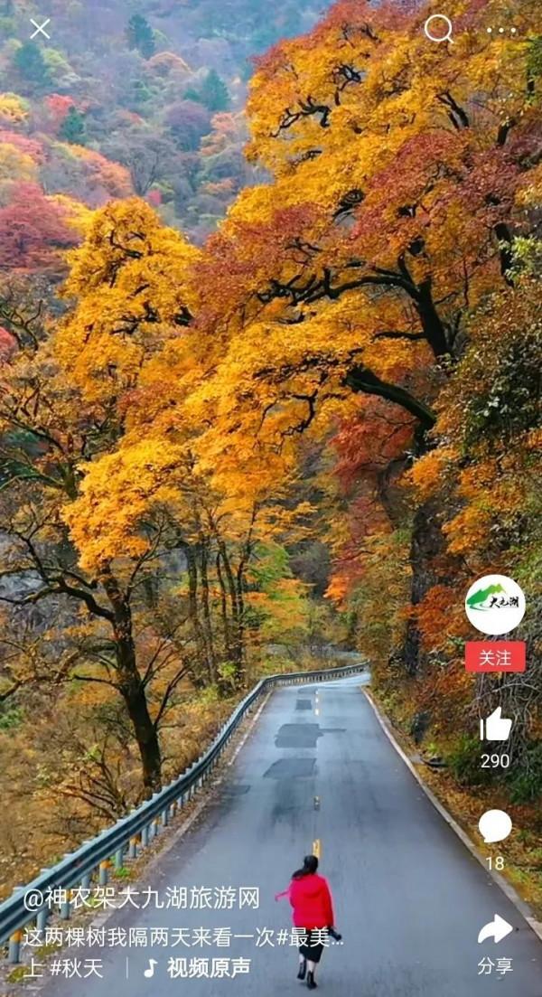 中外藝苑視角精品集粹06：短影片《微觀世界》特適合帶孩子一起看