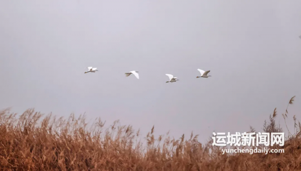 影像｜霧漫鹽湖似水墨