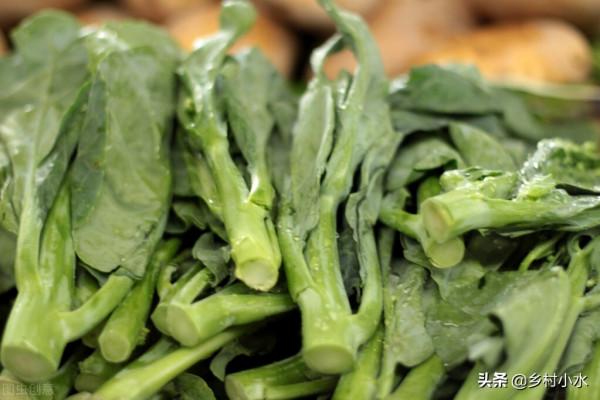 芥藍被稱為“抗癌蔬菜”，如何高產栽培？3分鐘學會