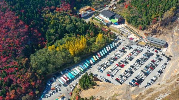 紅葉柿巖的成名金鑰