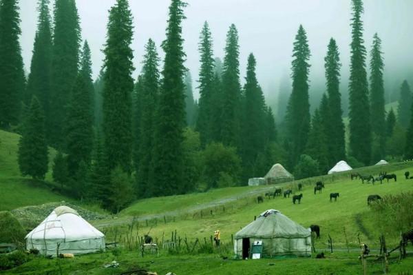 新疆那拉提草原風光 新疆那拉提草原風光