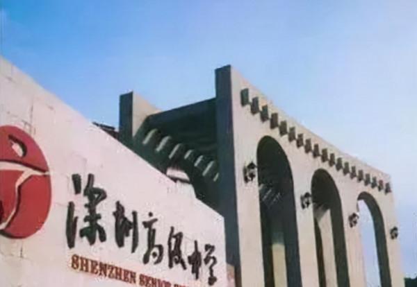 深圳“頂級中學”工資單走紅，難怪博士競爭應聘，網友表示酸了