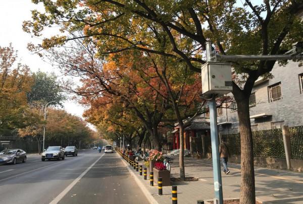 日壇路—日壇公園—芳草地小學 日壇路—日壇公園—芳草地小學