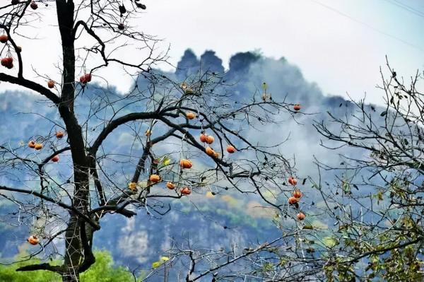 公路之旅！秋意濃，房山紅 | 快來解鎖貫穿美景的靈魂公路