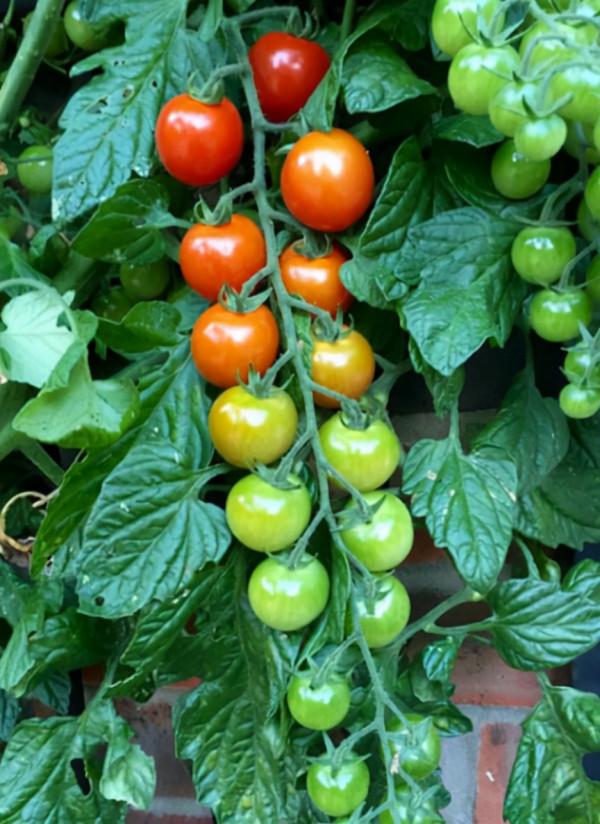 66張治癒強迫症的完美圖片，看完整個人都舒服了