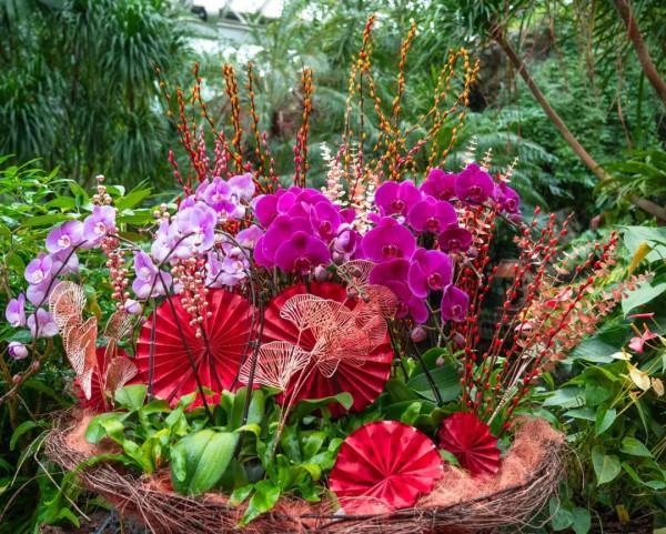 年宵花卉組合盆栽觀賞圖鑑～丨小葉子陪你過大年