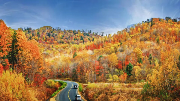 這個十月， 敦化寒蔥嶺許你一個浪漫的秋季