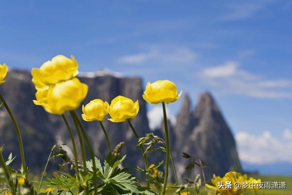 天命難違,雙子座 天命難違,雙子座