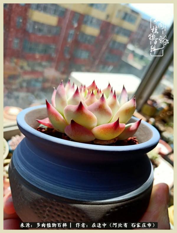 落葉知秋,願你安好 落葉知秋,願你安好