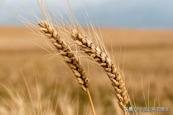 冬季這樣補腎，養五臟，調肌瘤，健康過冬