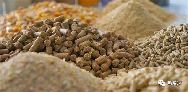 1.3萬億斤!全國糧食產量創新高,飼料會降價嗎? 1.3萬億斤!全國糧食產量創新高,飼料會降價嗎?