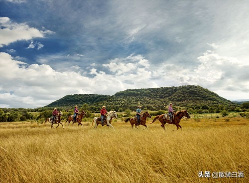 孤星閃耀美國:得克薩斯州要脫美,為何說它是“美國呂布”? 孤星閃耀美國:得克薩斯州要脫美,為何說它是“美國呂布”?