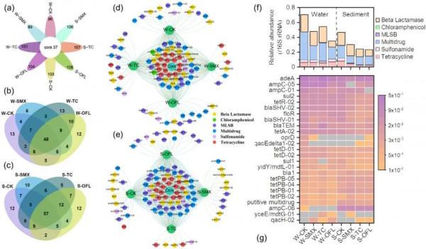 科研 | 北京大學（IF：7.963）：沉積物減輕抗生素對反硝化作用的抑制作用（國人佳作）
