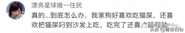 我家狗愛吃貓屎,貓知道後竟然特意到狗飯碗旁邊上廁所 我家狗愛吃貓屎,貓知道後竟然特意到狗飯碗旁邊上廁所