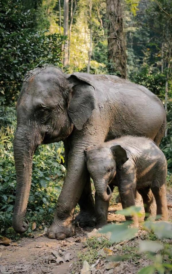 年度最佳旅行目的地!中國唯一上榜,這座養老小城照舊那麼美 年度最佳旅行目的地!中國唯一上榜,這座養老小城照舊那麼美