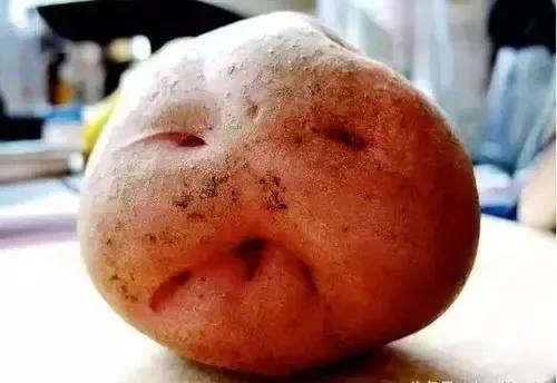 大自然真是無奇不有啊!快來看看畸形的果蔬吧 大自然真是無奇不有啊!快來看看畸形的果蔬吧