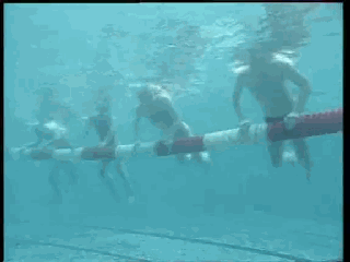 爬泳與仰泳前滾翻轉身的兩個動作要領和五個練習方法