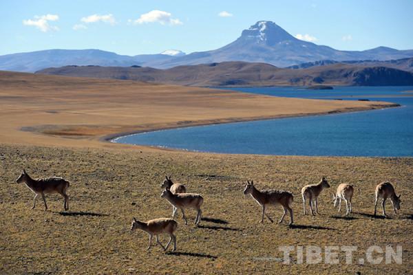 留在心中的歌:這裡是一片富有的土地 留在心中的歌:這裡是一片富有的土地
