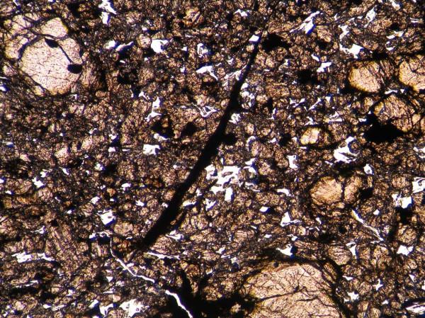 提森特（Tissint）火星隕石薄片