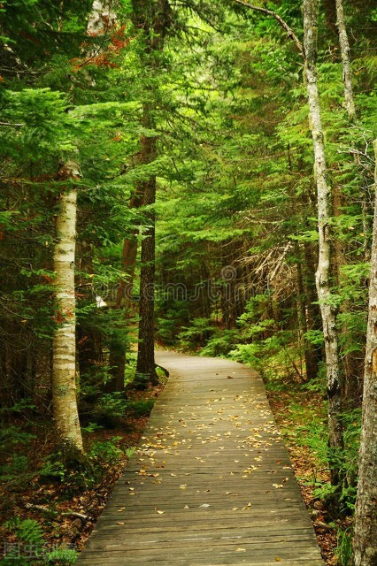 （四）價值一踏上這條美麗的小路，高瓴“老友記”開張的故事