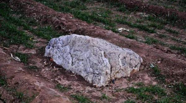 我國最矮的山，高度僅為0&period;6米，一直無人敢爬，還被列為重點