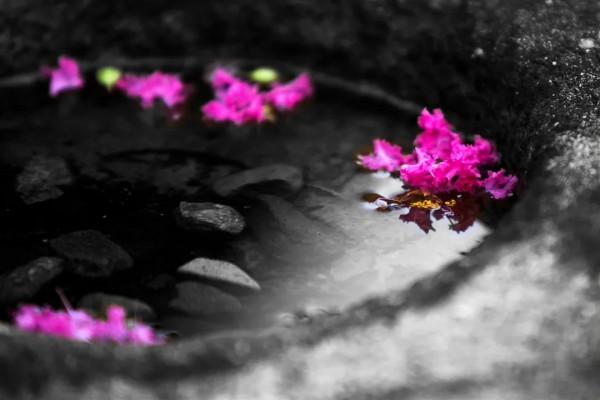 青春一晃就過了，餘生，少爭執