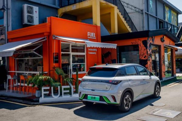 試駕海洋美學設計的比亞迪海豚“聰明且好開”是我對它的評價 試駕海洋美學設計的比亞迪海豚“聰明且好開”是我對它的評價