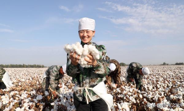 新疆農民收入高於城裡人，這一說法對嗎？聽我來給你分析