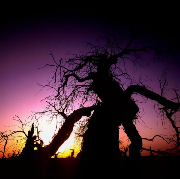 “徹膽長存義,終身思報恩”,綜合格鬥運動員宋帥的崛起之路 “徹膽長存義,終身思報恩”,綜合格鬥運動員宋帥的崛起之路