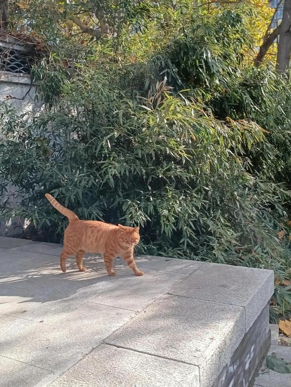 唯有美食和美景不可辜負 唯有美食和美景不可辜負